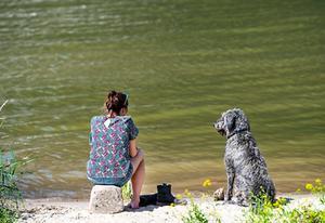 Een vrouw zoekt met haar hond verkoeling in de Waal. beeld ANP