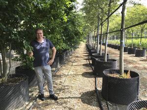 Algemeen directeur Pieter van den Berk is kleinzoon van de grondlegger van Van den Berk Boomkwekerijen.  beeld RD