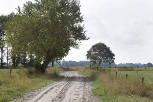 Het kerkenpad tussen Yde en Vries in Drenthe. Beeld RD, Anton Dommerholt