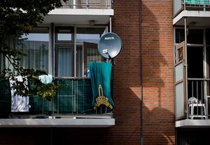 Schilderswijk. beeld ANP