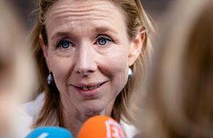 Staatssecretaris Van Veldhoven. beeld ANP
