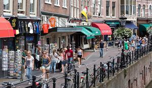 beeld ANP, Lex van Lieshout