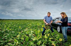 Minister Schouten bezoekt door droogte getroffen boer. beeld ANP, Robin van Lonkhuijsen