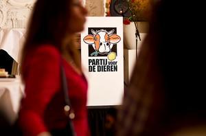 beeld ANP