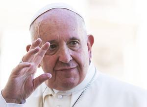 Paus Franciscus. beeld AFP