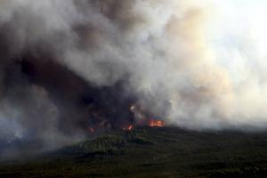 Bosbrand op Alaska. beeld Science