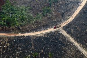 Een verbrand deel van het Amazoneregenwoud, gezien vanuit de lucht. beeld AFP