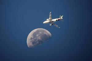 De Italiaanse luchtvaartmaatschappij Alitalia lijdt dagelijks zo’n miljoen euro verlies. beeld AFP, Andreas Solaro