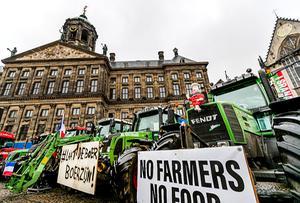 Boeren voeren vrijdag actie op de Dam in Amsterdam. beeld ANP, Remko de Waal