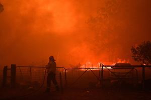 beeld EPA
