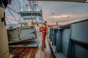 beeld ANP, Niels Wenstedt