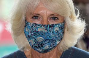Camilla, die gekleed ging in een marineblauwe jurk, had haar masker waarop pauwenveren staan vermoedelijk afgestemd op haar kledij. Beeld AFP, Arthur Edwards