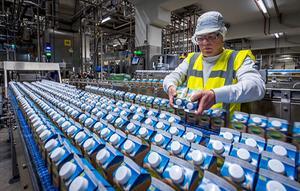 FrieslandCampina schrapt banen, beeld ANP