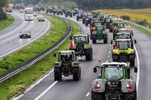 Het is demotiverend als de lat voor een bepaald natuurgebied zo hoog wordt gelegd dat deze onmogelijk gehaald kan worden. Dan staan er na verloop van tijd weer boeren op het Malieveld. ANP, Vincent Jannink