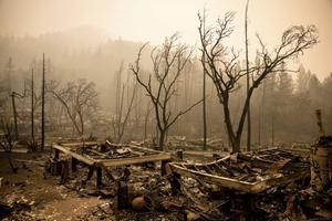 Sinds 1980 is het aantal geregistreerde natuurrampen meer dan verdubbeld. Foto: de overblijfselen van een ranch in Californië nadat er een verwoestende bosbrand overheen trok. beeld AFP, Samuel Corum