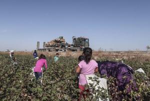 Turkse seizoenwerkers plukken zaterdag katoen in het grensgebied tussen Turkije en Syrië, terwijl Turkse legervoertuigen voorbijrijden, op weg naar de strijd in het buurland. De Turkse opmars in Noordoost-Syrië om Koerdische strijders te verdrijven, lijkt tot nu toe onstuitbaar. beeld EPA, Sedat Suna