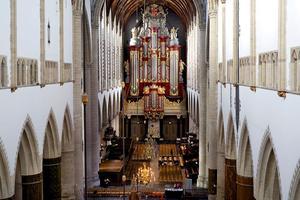 beeld Sjaak Verboom