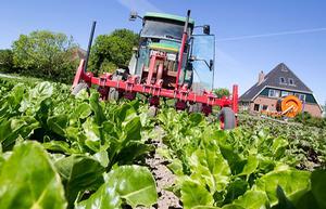 beeld ANP XTRA KOEN SUYK