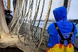Nederlandse pulsvissers aan het werk. beeld ANP, Niels Wenstedt