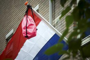 Onder bijzondere omstandigheden hebben dit jaar veel leerlingen een diploma gehaald. beeld ANP, Lex van Lieshout