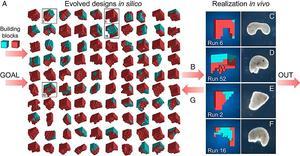 Een supercomputer bedenkt een vorm en de onderzoekers bouwden dat na. beeld University of Vermont