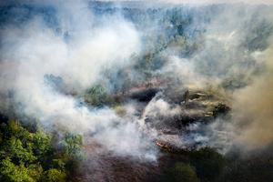 Zeer grote natuurbrand op de Maria Peel nabij het Brabantse Deurne, april 2020. beeld ANP