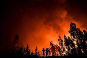 Bosbrand in Portugal. beeld AFP