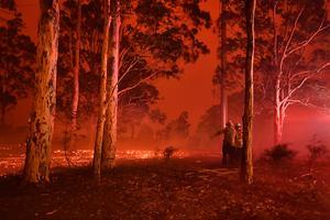 beeld AFP