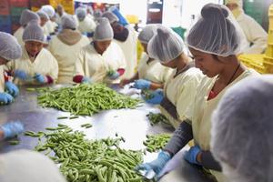„Duurzaam ondernemen kan, vooral in ontwikkelingslanden, erg ingewikkeld zijn.” Foto: in een Fair Factory in Guatemala worden fruit en groenten schoongemaakt en ingepakt voor de Europese en Amerikaanse markt. beeld Jaco Klamer