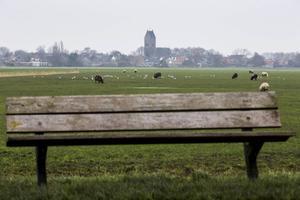 Wonen in het groen: een uitdaging.  beeld ANP, Vincent Jannink