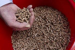 Houtpellets, gemaakt van samengeperst hout. beeld RD, Anton Dommerholt