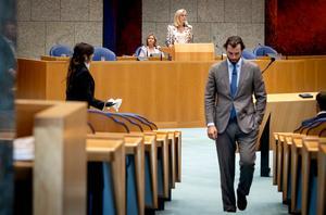 Thierry Baudet vertrekt als partijvoorzitter bij Forum voor Democratie. beeld ANP, Koen van Weel
