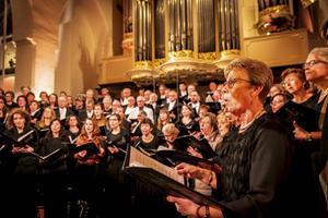 Jubilate Deo uit Woudenberg. beeld Jubilate Deo