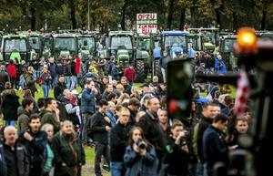 Het ongenoegen over het functioneren van de staat zal leiden tot regelmatige oplevingen van populisme en boerenprotesten, zonder dat de dieperliggende oorzaken geadresseerd worden. beeld ANP, Remko de Waal