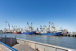 beeld RD, Henk Visscher