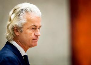 Wilders. beeld ANP