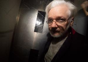 Assange. beeld EPA
