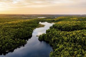 Volgens mij spelen we sciëntisten en evolutionisten enorm in de kaart als christenen vraagtekens gaan plaatsen bij de evolutietheorie, bij de biologische basis. beeld iStock