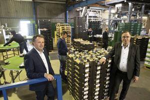 Volgens Peter Quik (l.) en Gerrit Oomen hebben de coronamaatregelen een grote impact op het team maar passen de medewerkers zich goed aan de nieuwe situatie aan. beeld RD, Anton Dommerholt