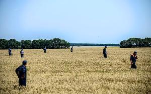 Zoektocht in de omgeving waar vlucht MH17 neerkwam. beeld AFP