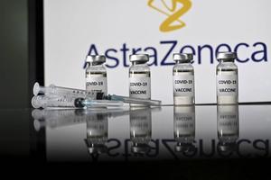 Het vaccin van AstraZeneca wordt gekweekt in een cellijn die afstamt van een foetus uit 1973. Prof. Jochemsen: „Deze cellijn is zó lang doorgekweekt dat die niet meer normaal menselijk is.” beeld AFP, Justin Tallis