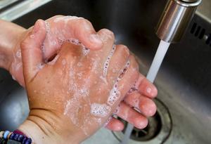 Uit wetenschappelijk onderzoek blijkt dat handen wassen het reproductiegetal (R0) van luchtweginfecties met wel driekwart kan verlagen, schrijft Yates. beeld ANP