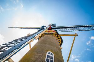 Molen De Schelvenaer in Krimpen. beeld Cees van der Wal