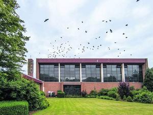 De Verrijzeniskerk is een van de drie kerkgebouwen van de christelijke gereformeerde kerk te Zwolle. beeld Frans Paalman