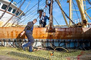 Een Urker vissersschip, uitgerust met pulstechniek. beeld ANP