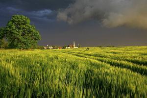Het kan niet anders of onze zonden moeten de grote oorzaak zijn van de grauwsluier die over de kerk ligt. beeld iStock
