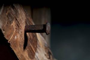 beeld iStock