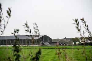 Ruiming van het pluimveebedrijf in Altforst, dat als eerste besmet bleek met de zeer besmettelijke variant van vogelgriep. beeld ANP, Rob Engelaar