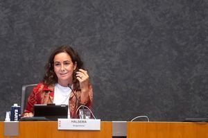 Halsema. beeld ANP, EVERT ELZINGA