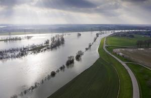De Maas bij Wijchen. beeld ANP